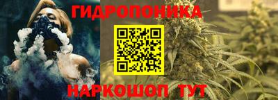 шишки Конаково