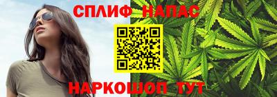 шишки Конаково