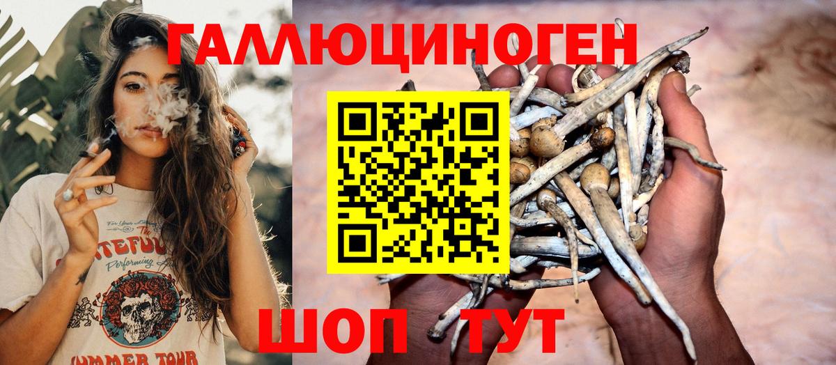 Галлюциногенные грибы Magic Shrooms  Псилоцибиновые грибы прущие грибы  Кандалакша  Вход с VPN 