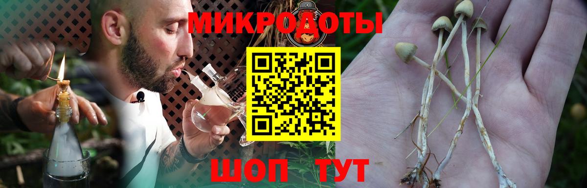 Галлюциногенные грибы ЛСД Кандалакша