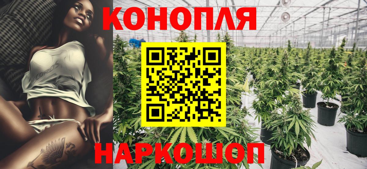 Канабис гибрид Кандалакша